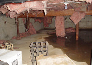 Fiberglass dripping off of the ceilings of a Carson City crawl space