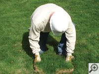 Restoring the landscaping by replacing removed sod on the ground for a Dayton home.