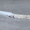 Slab floor cracks showing in a Verdi home