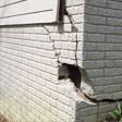 foundation walls cracked due to settlement in Reno