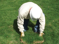 Restoring the landscaping by replacing removed lawn sections for a South Lake Tahoe home.